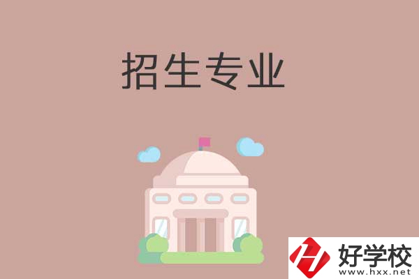 益陽有哪些高職院校設(shè)立了中職部？招生專業(yè)有哪些？