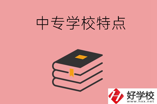 湖南省正規(guī)的中專學(xué)校，具備哪些特點？