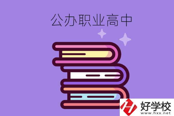 長(zhǎng)沙市有哪些公辦職業(yè)高中學(xué)校？