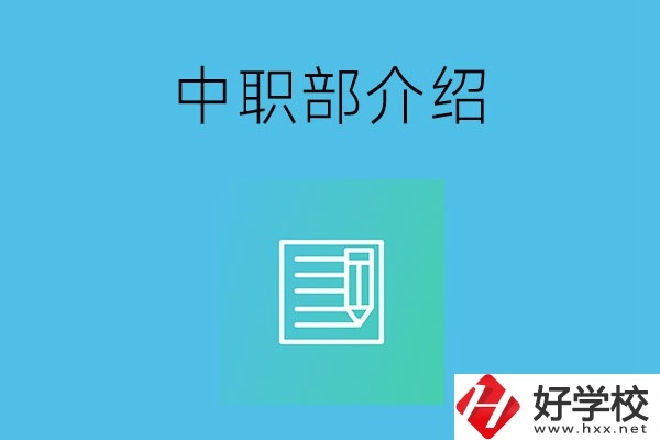 湘潭院校中職部介紹，這幾所學(xué)校你知道嗎？