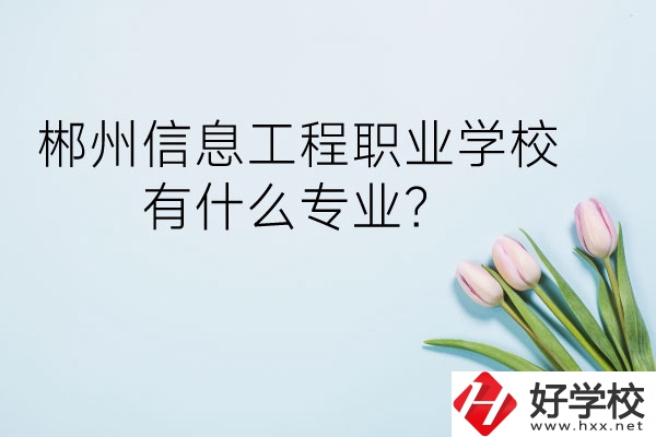 郴州信息工程職業(yè)學(xué)校有什么專業(yè)？