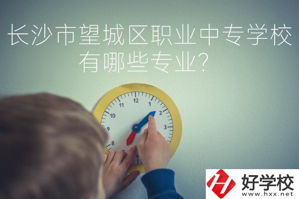 長沙市望城區(qū)職業(yè)中等專業(yè)學校有哪些專業(yè)？