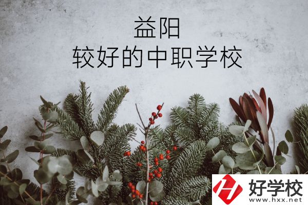 益陽(yáng)有哪些中職學(xué)校比較好？