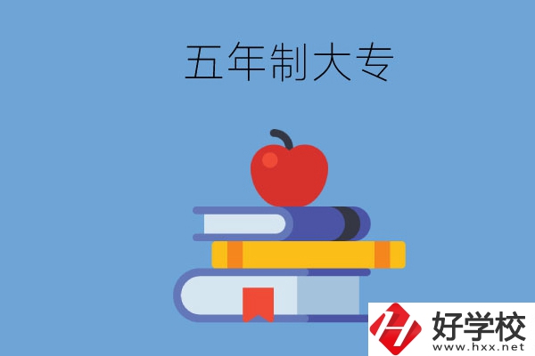 長沙開設(shè)教育類專業(yè)的五年制大專有哪些？