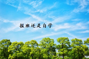 報(bào)班還是自學(xué)