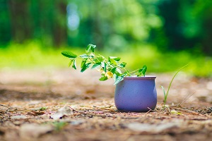 降低日常生活刺激水平