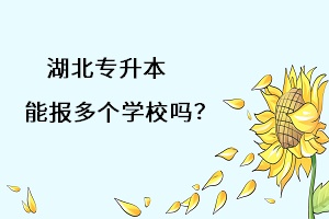 湖北專升本能報多個學習嗎？