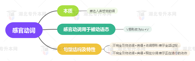 普通專升本英語要掌握多少種語法？25張思維導(dǎo)圖教會你！